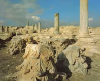 Ancient City Kingdom of Amathus